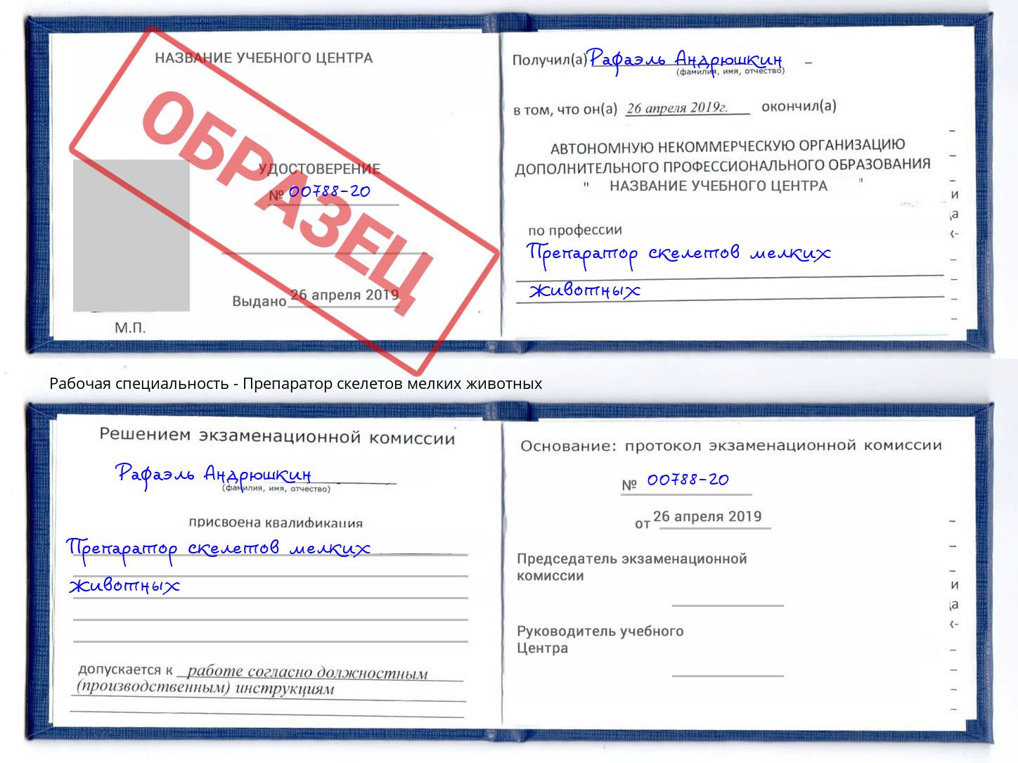 Препаратор скелетов мелких животных Северодвинск
