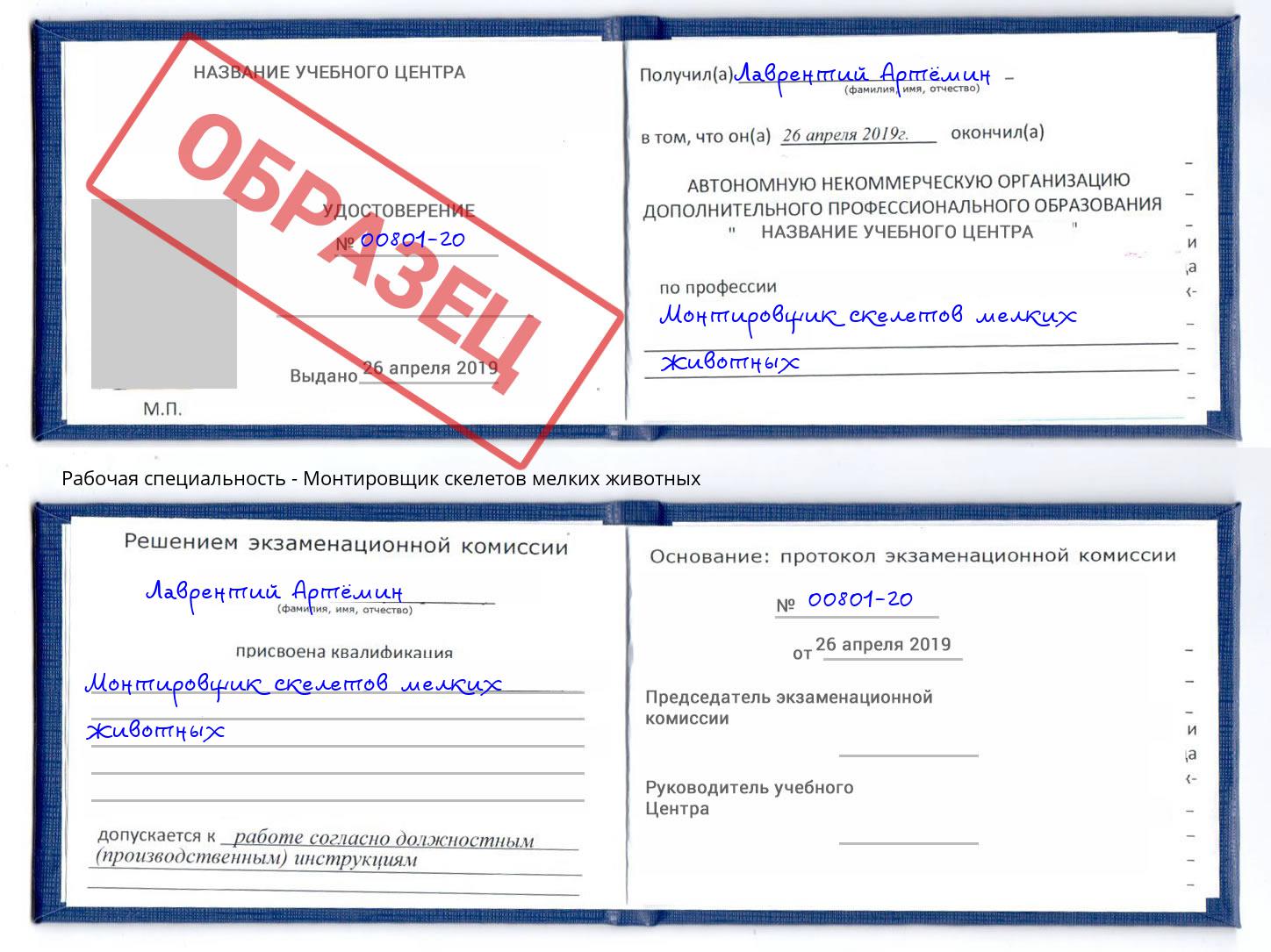 Монтировщик скелетов мелких животных Северодвинск