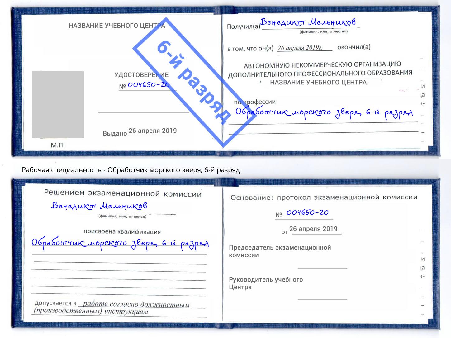 корочка 6-й разряд Обработчик морского зверя Северодвинск
