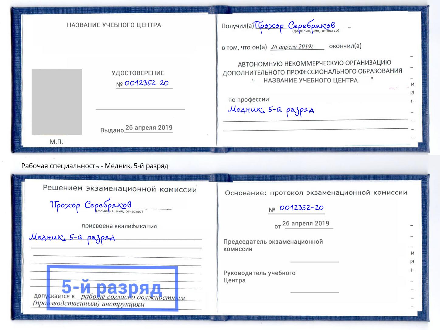 корочка 5-й разряд Медник Северодвинск