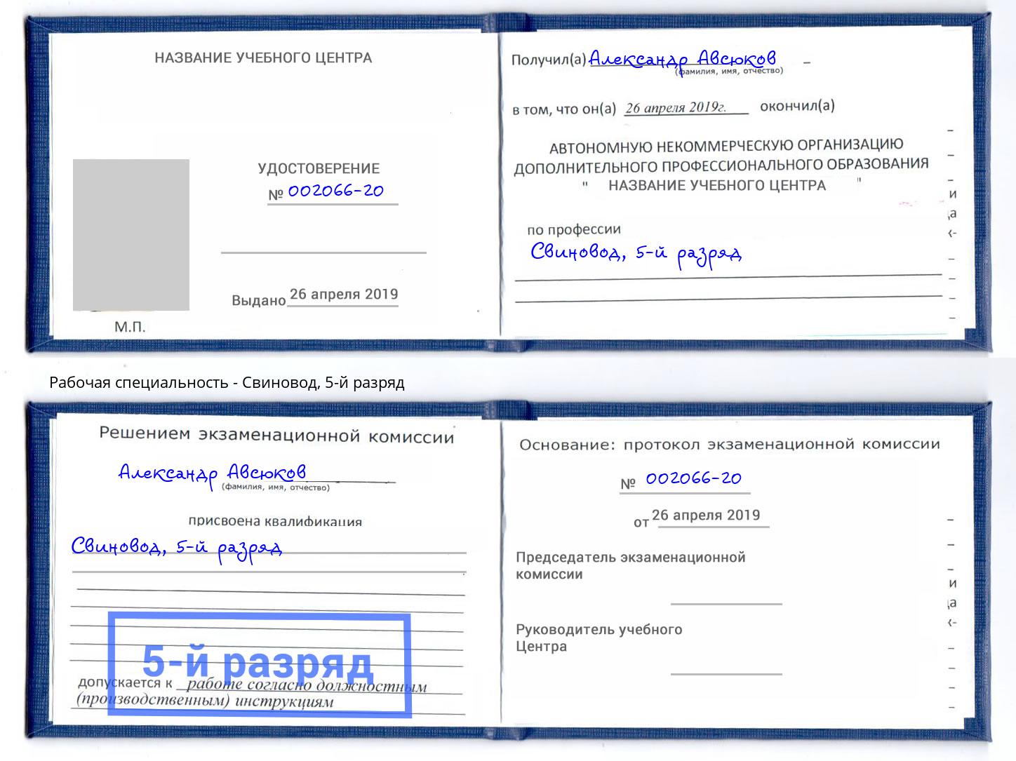 корочка 5-й разряд Свиновод Северодвинск